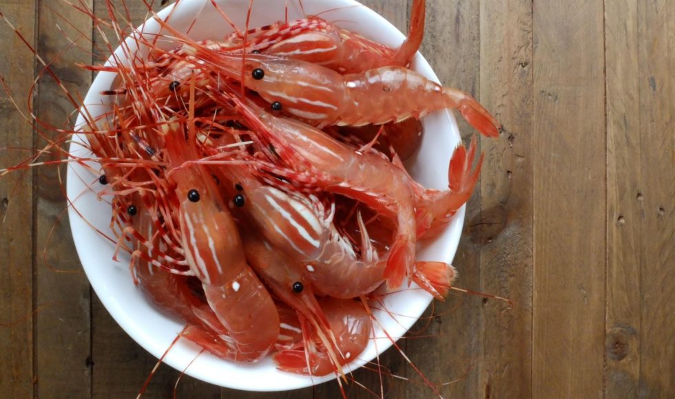 where-to-buy-spot-prawns-in-kitsilano-kitsilano-ca