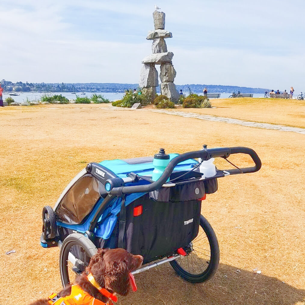 bike trailer that converts to jogging stroller